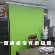 【升降電動遙控】綠幕摳圖背景 直播攝影高清幕布 廣告宣傳 招財進寶定製