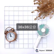 Eeyore🌿 36x36 彩色網片 網格 格子網 格網 網片 網子 鐵網 小網片 魔片 烤漆網片 平面網 變色龍爬架