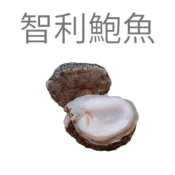 (店+)【阿禧鮮魚行】智利頂級鮑魚（南美貝）Q彈的海洋珍味一包5公斤全家店到店 799元 免運