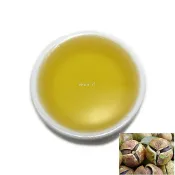 【順億化工】台灣 冷壓精製苦茶油 (苦茶籽油) (無味)100ml 500ml 手工皂 保養品 按摩油 保養 苦茶油皂