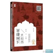 菩提樹下太陽雨印度心之旅 尹巖 2018-2-1 中國青年出版社