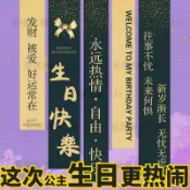 彩色橫幅 公主生日快樂條幅 掛布 場景 布置 裝飾 女孩粉色 背景 布氛圍感 道具裝飾