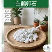 【滿額免運】白鵝卵石 漢白玉 白玉石 白石 白卵石 天然石 白色石頭 庭院造景 盆栽造景 水族造景 陽台 園藝裝飾