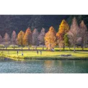 宜蘭旅遊｜連休親子出遊.最高折5百｜龜山海景拉拉車.獨一無二蔥油餅.超萌動物餵食體驗.羅東夜市.平溪放天燈.礁溪捷絲旅溫泉三日｜台中出發_26XGYL