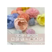 (店+)索拉花 通草花 永生花 乾燥花 擴香花 拍照道具 花藝材料