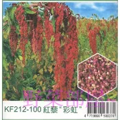 【野菜部屋~】Q13 紅藜種子10公克(約9000粒) 富含多種營養成份 ~