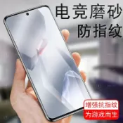 vivo霧面滿版玻璃貼 保護貼適用X300 Pro X200 FE X70 X60 X50E Y27 Y21 Y55s