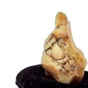 ☯【遁空塵】早期純天然聖地阿拉善地表戈壁瑪瑙俠士人物天型主題雅石　大陸石來賓石樹化玉硅化木化石古骨董古文玩名家壺中國臺灣
