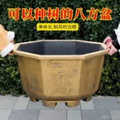 🔥臺灣好貨灬🔥八角花盆 仿古花盆 睡蓮盆 鐵樹花盆 特大號花盆 庭院盆景專用花盆 戶外大型睡蓮缸 八角浮雕仿石紋花盆