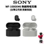下單送INSTAX PAL拍立得【SONY 索尼】WF-1000XM6 降噪真無線耳機 (公司貨) 8+16小時續航力