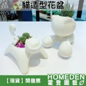 (店+)貓造型花盆 1吋 小臉貓 大嘴巴 陶瓷花盆 花器 燭台 多肉植物 仙人掌 迷你盆栽【HOMEDEN霍登園藝】