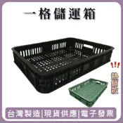台灣製 塑膠籃 一格搬運籃 現貨 曬乾用 黑色 墨綠色 水果籃 一格籃 曬乾籃 蘆筍籃 搬運箱 水果籃 全新現貨