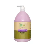 (店+)【SSUNE】植感原萃洗髮精－葵花籽 4000ml／洗髮乳／保濕／滋潤／柔順／光澤／葵花籽萃取