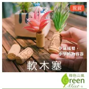 軟木塞 空氣鳳梨裝飾 軟木塞植物 空鳳 無土 房間裝飾 室內植物 辦公室植物 紅酒軟木塞 密封塞 葡萄酒軟木塞