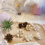 (店+)木荷果 乾燥果實｜花材 乾燥材料 十字果 拍照道具 乾燥花配件 乾燥花 乾燥花材 花圈 松果 聖誕花圈材料 DIY