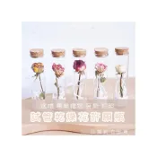 (店+)試管乾燥花 畢業禮物 畢業花束 母親節 康乃馨 許願花瓶  花瓶 許願罐花瓶 願望瓶飾 願望儲存瓶
