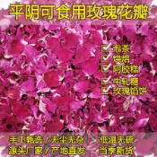 【楊順零食屋】優選平阴玫瑰花瓣 可食用大瓣玫瑰干花瓣无硫玫瑰花泡茶阿胶糕烘焙