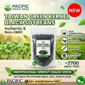 【太平洋芽菜種子】300g正宗台灣青仁黑豆/包🌱約2700顆👑高發芽率專業芽菜級✨水耕土耕梅森罐皆適用💯無藥劑✅非基改