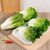 仿真模型 仿真蔬菜 假水果 仿真生菜模型菜葉婚禮新娘手捧果蔬菜道具櫥窗擺件菜品過家家舞台