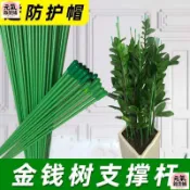 ⭐️元氣⭐️新款金錢樹支撐杆花卉植物園藝花架盆栽陽臺花盆爬藤架錢串子