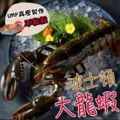 🏴‍☠️海底寶🏴‍☠️頂級波士頓龍蝦 大龍蝦 野生龍蝦 大龍蝦 波士頓龍蝦 不黏殼 高取肉率 超高壓生凍龍蝦 生凍龍蝦