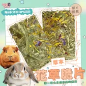 24H挑戰最便宜 草本花草脆片 提摩西草 花草脆片 牧草片 兔用牧草 寵物兔 兔子 天竺鼠零食 豚鼠 龍貓 提摩西片