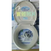 和成HCG 原廠香格里拉馬桶蓋 CF-632N CF632 632A 632N C142 145 S140E S140