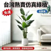 免運🎶精緻好物 仿真植物旅人蕉北歐ins風綠植大型盆栽擺件客廳室內落地裝飾盆景