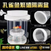 鑫永發國際貿易企業社 【可打統編 保固一年】孔雀魚繁殖隔離盒產卵桶母魚孵化網產房小魚幼魚隔離透明產子產箱