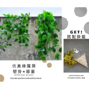 仿真 綠蘿葉 可壁掛 藤蔓2條 ／造景 根本神物／ 台灣現貨🇹🇼 秒出貨 海棠 常春藤 萬年青 仿真藤蔓 假藤蔓 假葉子