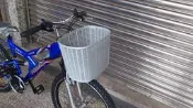 {名森自行車}菜籃.寵物籃.不易變形生鏽.高雄自取