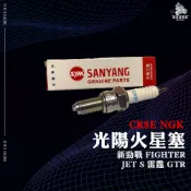 《機車董事長》三陽原廠火星塞 CR8E NGK火星塞 新勁戰 FIGHTER JET S 雷霆 GTR