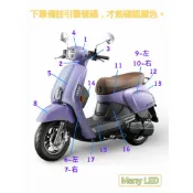 光陽 原廠車殼 全台分車殼 NEW Many 110 125 大燈圈 面板 前土除 把手蓋 左 右 側蓋 前 後 中心蓋