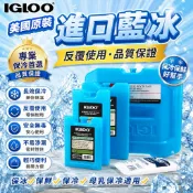 美國IGLOO冰磚 藍冰冰盒 保冷磚 冰晶盒 保冷劑 可重複使用 冰板 保冷袋 母乳保冷 迷你冰磚 露營保冷 釣魚冰磚