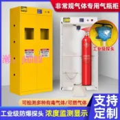 悠悠百貨 【台灣公司】【檢測氣體】氣瓶柜防爆安全柜煤氣罐柜乙炔氧氣液化