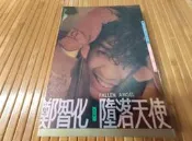 墮落天使.鄭智化=========================（絕版書要買要快)