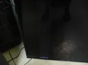 國際TH-55GX900W