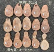 台灣櫸(紅雞油)原木年輪木片/文創材料/隔熱墊/藝品盆景陶藝擺設底座/置物墊／木質墊片/佈置裝潢材料/蕨.蘭類上板
