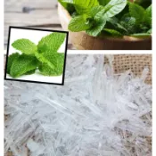 《材料》Menthol Crystal薄荷腦
