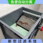魚池過濾箱 戶外魚池過濾 過濾器 超濾箱魚便分離器滴流魚馬桶周轉箱過濾盒魚池魚缸陶瓷缸錦鯉凈化