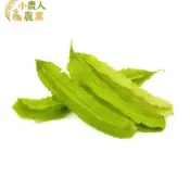現貨隔日達 翼豆種子 四棱豆籽 楊桃豆 角豆 翼豆籽 家庭菜園 棚架作物 攀藤蔬菜 健康蔬菜 台灣品種 豐產豆類