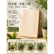 【不含植株】松木板 木板 上板 鹿角蕨 蕨類 鹿角蕨植板 植栽上板 植板 附生植物 蘭花