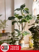 協貿國際日用品生活6館 掬涵 大型仿真綠植北歐植物盆栽龜背樹琴葉榕旅人蕉盆景客廳擺件