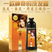現貨 老薑王一洗彩 瑪奇諾植物染一支彩洗髮精 500ml 洗染護三效合一 不傷髮 一洗黑 不沾頭皮 染髮劑