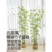 時尚家居 免運 【仿真綠植】可開發票仿真綠植 竹子北歐風裝飾客廳落地仿生大型假綠植 盆栽室內盆景擺件工廠直銷 全館折扣 售後保障 店長新品推薦 6s91712工廠直銷 全館折扣 售後保障 店長新品推薦 6s91713