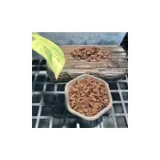 (店+)《斑啾植選》紐西蘭樹皮｜Orchiata｜輻射松熟成｜觀葉介質｜甲蟲｜蕨類｜鹿角蕨介質｜花燭｜蘭花介質｜盆栽｜龜背芋