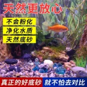 🚀免運🚚臺灣出貨🚚5斤鵝卵石天然五彩石子魚缸小石頭鋪底造景沙石原生缸過濾溪流石