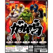 〈蛋黃限定〉🦤再版啦🦤 千錘百鍊筋肉鳥 P1 扭蛋 肌肉鳥 全新現貨~~誰跟我比雞肉^^