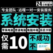 遠程安裝重裝電腦系統win7/10/11純淨版專業版原版刷機維修諮詢盛