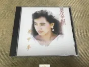 絕版二手 蔡幸娟 夢中夢